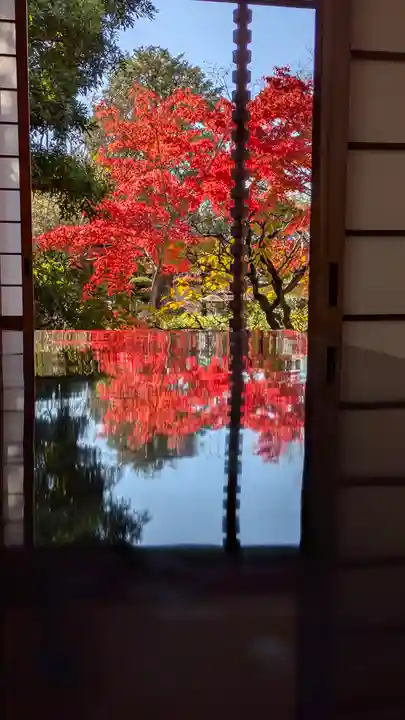 霊源院(京都府)