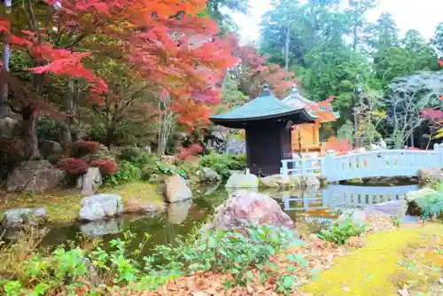 尊永寺の庭園