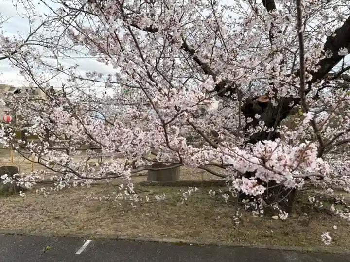 兵庫縣神戸護國神社(兵庫県)