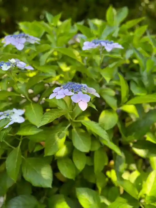 浄妙寺(神奈川県)