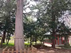 長沼神社の建物その他