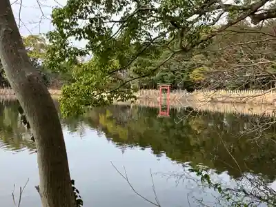 薦神社(大分県)