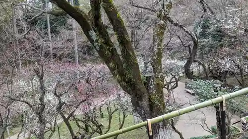 北野天満宮(京都府)