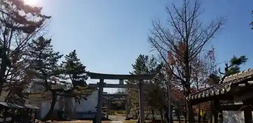 春日神社の鳥居