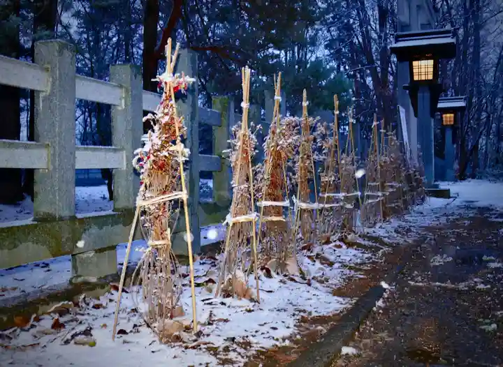 鷹栖神社の自然
