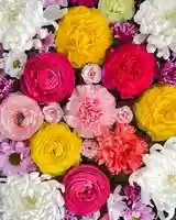 伊達神社(北海道)