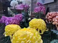 大宮温泉神社(栃木県)