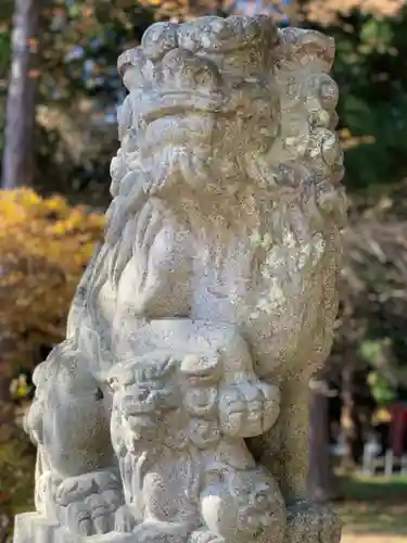 冨士御室浅間神社の狛犬