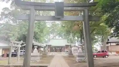 下高井戸八幡神社（下高井戸浜田山八幡神社）の鳥居