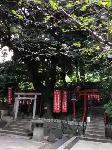 乃木神社(東京都)
