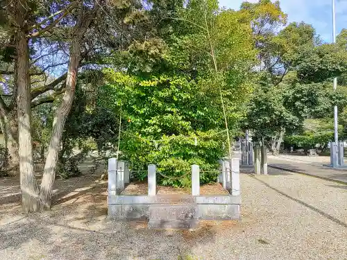 城ヶ入白山神社の自然