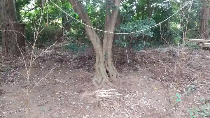 鹿島神社のその他建物