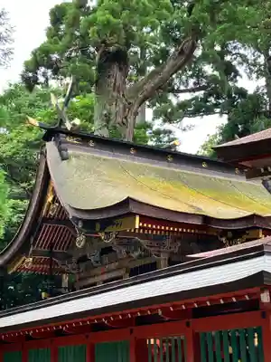 鹿島神宮(茨城県)