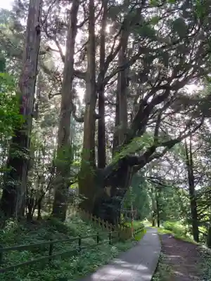 幣立神宮(熊本県)