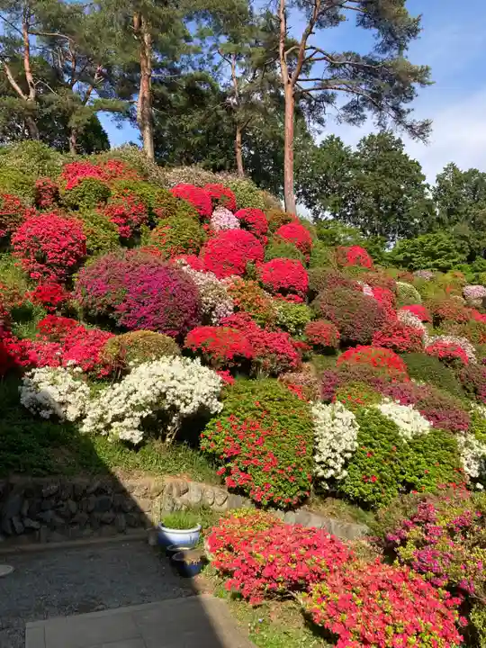 塩船観音寺(東京都)