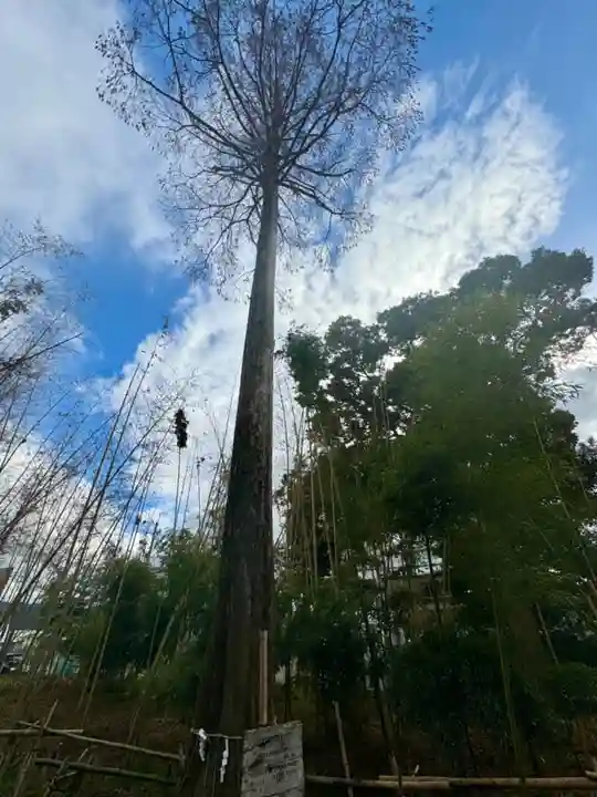 蛭子島神社(京都府)