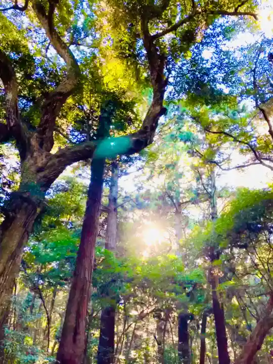 鹿島神宮(茨城県)