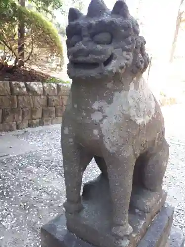 大崎八幡宮の狛犬