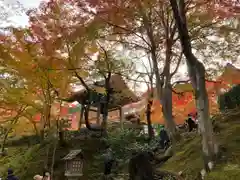 常寂光寺の建物その他