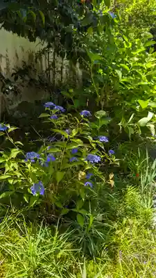 尊陽院(京都府)