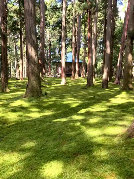 平泉寺白山神社の自然