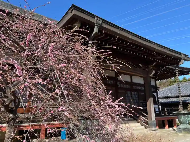 西光寺(埼玉県)