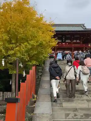 鶴岡八幡宮(神奈川県)