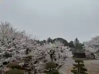 伏木香取神社の景色