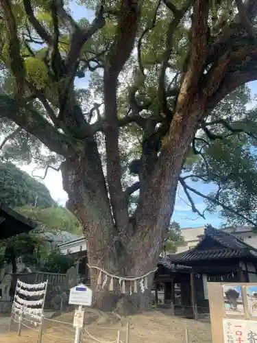 艮神社(広島県)