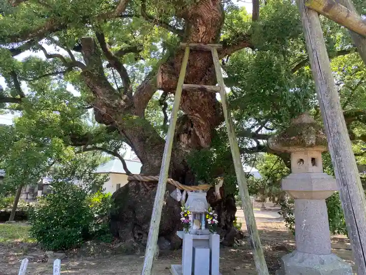善通寺(香川県)