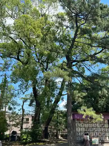 武蔵一宮氷川神社(埼玉県)