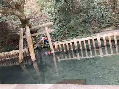 鹿島神宮(茨城県)