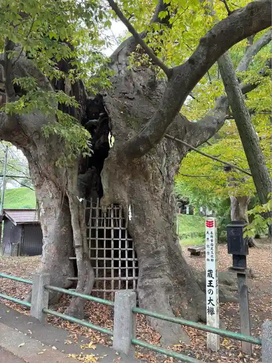 金峯神社(新潟県)