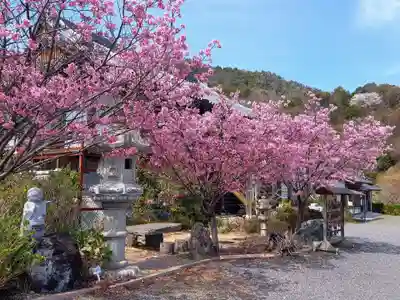 観音寺の自然