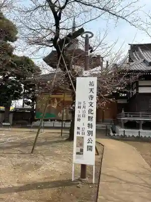 祐天寺の{uncategorized: "未分類", other: "その他", undefined: "問題あり", building: "その他建物", grave: "お墓", sacred_gate: "鳥居", guardian: "狛犬", statue: "像", buddha: "仏像", history: "歴史", nature: "自然", garden: "庭園", animal: "動物", pagoda: "塔", temizu: "手水舎", mountain_gate: "山門・神門", sanctuary: "本殿・本堂", subordinate: "末社・摂社", art: "芸術", scenery: "景色", jizo: "地蔵", ema: "絵馬", goshuin: "御朱印", omikuji: "おみくじ", items: "授与品その他", amulet: "お守り", goshuincho: "御朱印帳", eats: "食事", festival: "お祭り", votive_dance: "神楽", shichigosan: "七五三参", wedding: "結婚式", experience: "体験その他", initially: "初詣", around: "周辺", anti_infection: "感染症対策"}