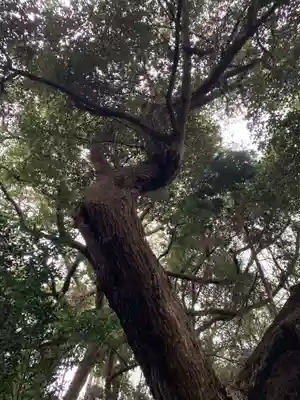愛宕花園神社の自然