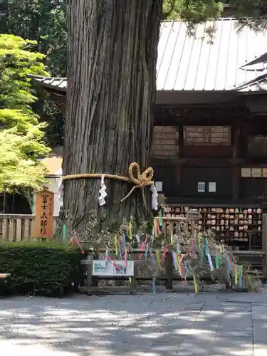 北口本宮冨士浅間神社の自然