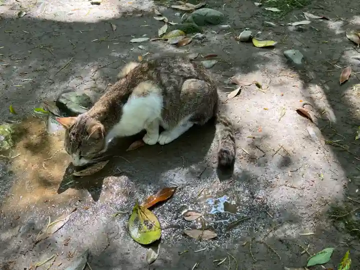 安牧神社(熊本県)