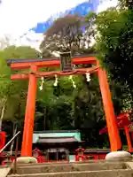 櫟谷宗像神社(松尾大社摂社)の鳥居