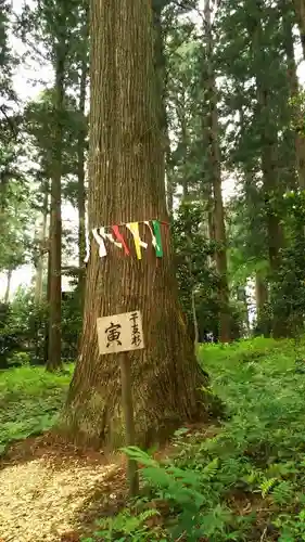 岩戸別神社の自然