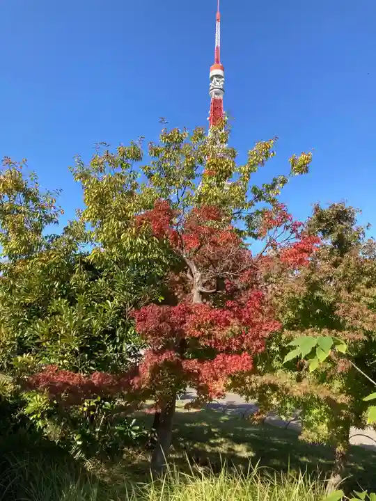 増上寺塔頭 三縁山 宝珠院の自然