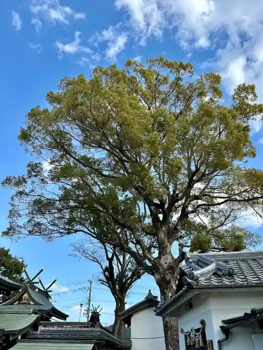 彌刀神社(大阪府)