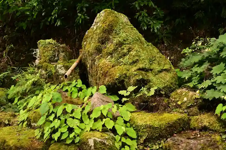 青源寺(高知県)