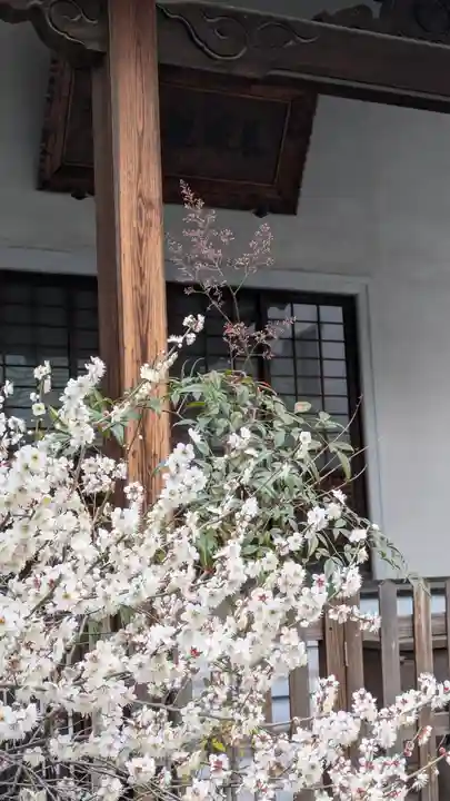 持明院(大阪府)