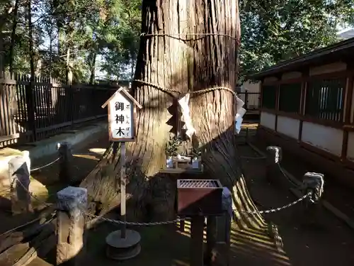 一言主神社の自然