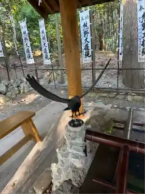 熊野本宮大社(和歌山県)