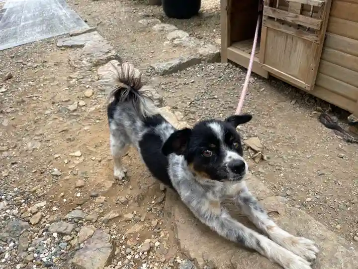 天台宗 五大山 白毫寺(兵庫県)