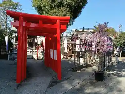 相模原氷川神社の{uncategorized: "未分類", other: "その他", undefined: "問題あり", building: "その他建物", grave: "お墓", sacred_gate: "鳥居", guardian: "狛犬", statue: "像", buddha: "仏像", history: "歴史", nature: "自然", garden: "庭園", animal: "動物", pagoda: "塔", temizu: "手水舎", mountain_gate: "山門・神門", sanctuary: "本殿・本堂", subordinate: "末社・摂社", art: "芸術", scenery: "景色", jizo: "地蔵", ema: "絵馬", goshuin: "御朱印", omikuji: "おみくじ", items: "授与品その他", amulet: "お守り", goshuincho: "御朱印帳", eats: "食事", festival: "お祭り", votive_dance: "神楽", shichigosan: "七五三参", wedding: "結婚式", experience: "体験その他", initially: "初詣", around: "周辺", anti_infection: "感染症対策"}