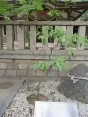 湊川神社の建物その他