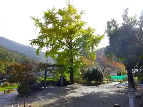 白山神社(滋賀県)